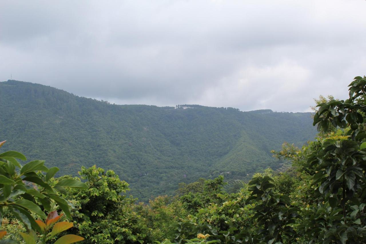 Magoebaskloof Mountain Lodge Tzaneen Exteriér fotografie